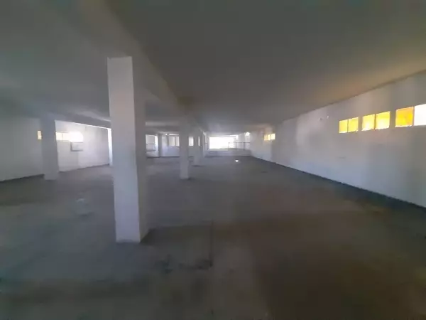 IFC IMMO