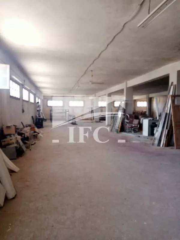 IFC IMMO