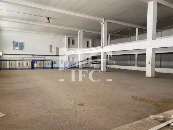 IFC IMMO