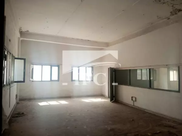 IFC IMMO