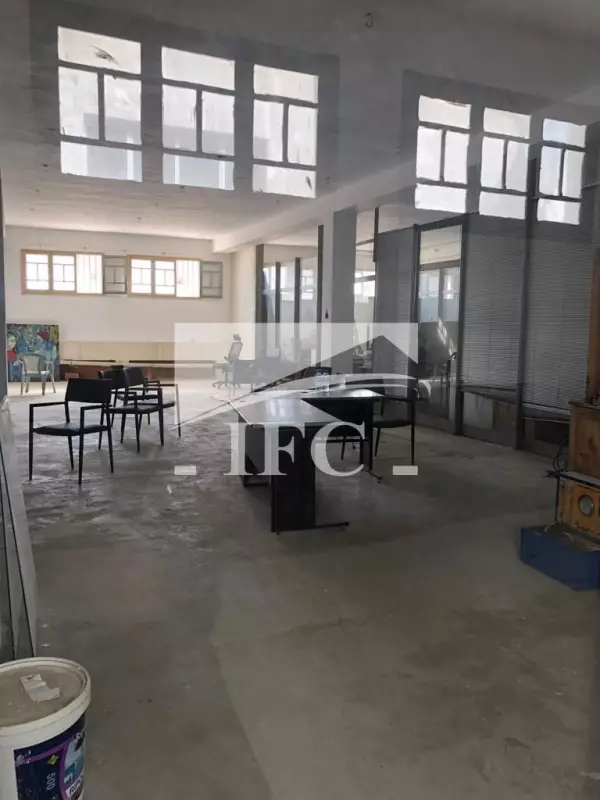 IFC IMMO