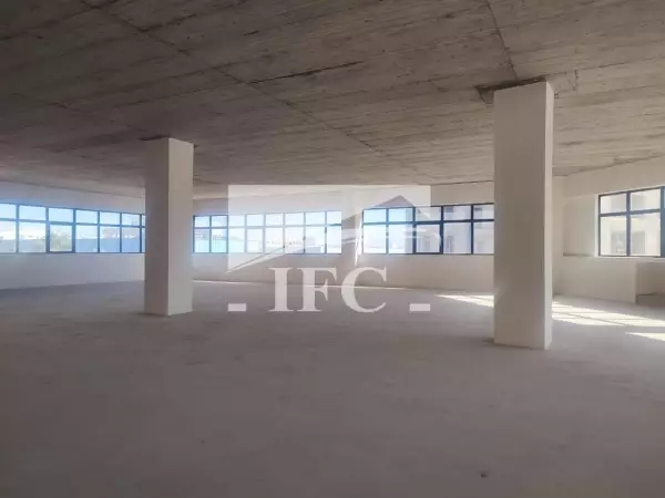 IFC IMMO
