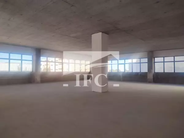IFC IMMO