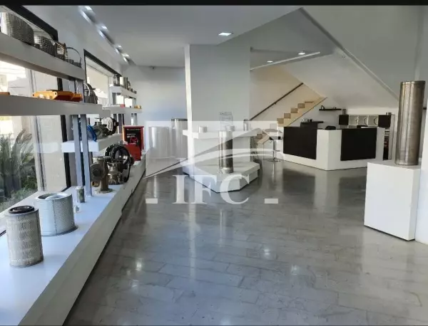 IFC IMMO