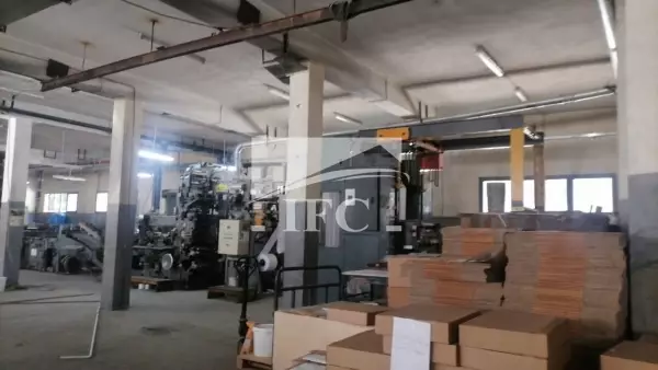 IFC IMMO