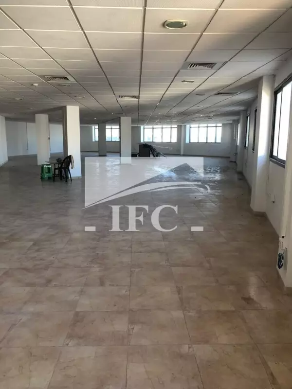 IFC IMMO