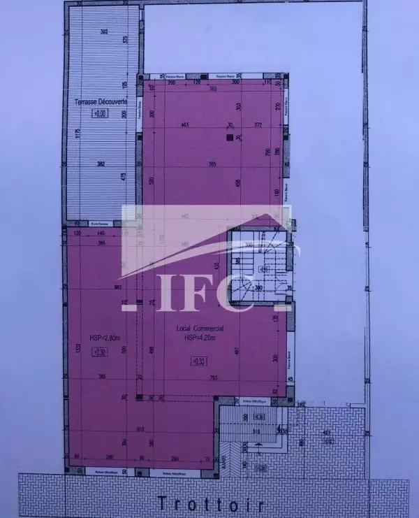 IFC IMMO