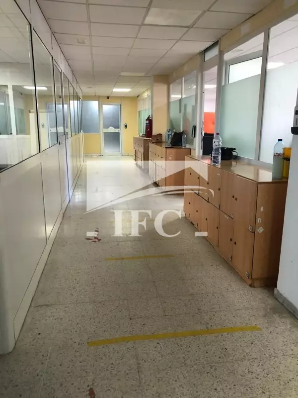 IFC IMMO