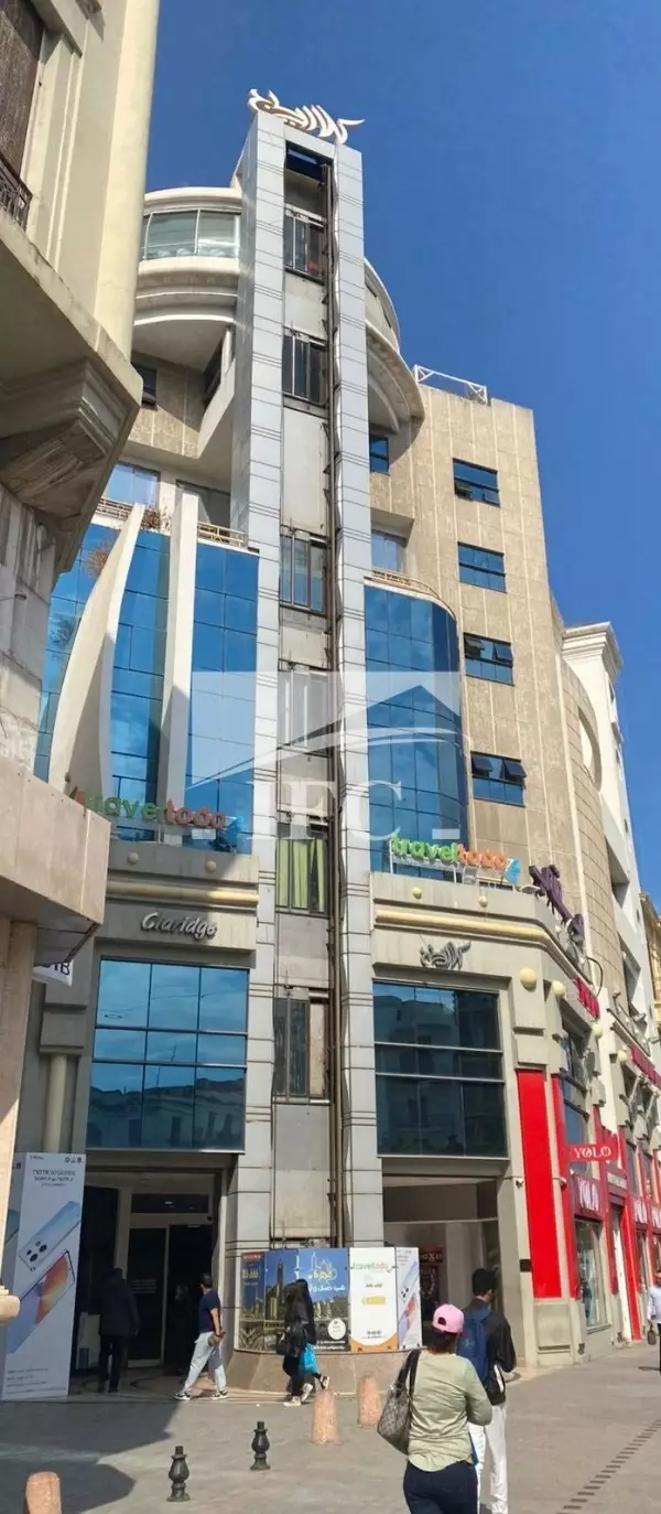 IFC IMMO