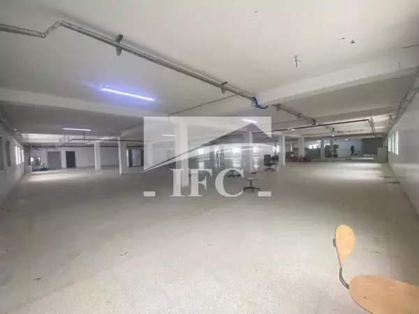 IFC IMMO